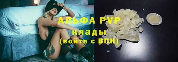 прущие крисы Абинск