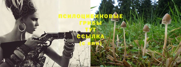 прущие крисы Абинск